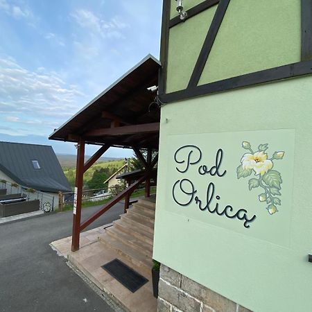 Ferienwohnung Pod Orlicą Duszniki Zdrój Exterior foto